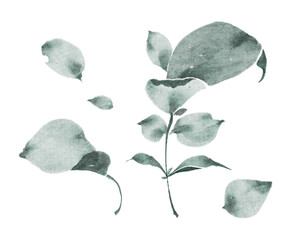 Watercolor illustration of plant leaves and branches