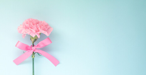 青色の背景にピンクのカーネーションとピンクのリボン