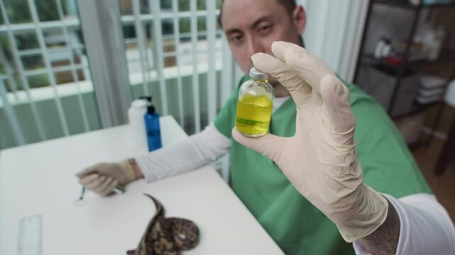 High angle view with focus on hand of multi-ethnic male herpetologist in green uniform holding ampoule with liquid vitamin while inspecting python snake at table in clinic