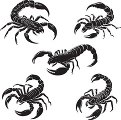 Silhouette of Scorpion in Attack Positions