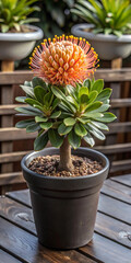 A blooming artificial flower in a clay pot, surrounded by green indoor plants, adds charm to the rustic wooden table in a bright room.
