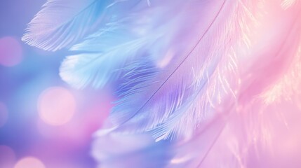 Obraz premium Close Up View Of Delicate Pastel Blue Pink And Purple Feathers Against A Soft Bokeh Background, Dreamy And Airy Texture With Gentle Lighting