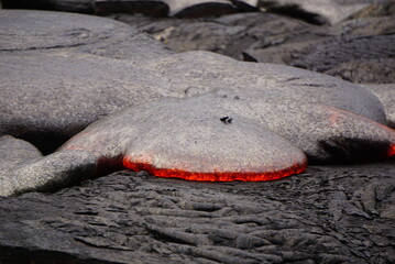 Active lava flows over old lava field in Hawaii