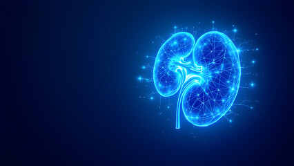 Neon blue holographic illustration of human kidneys with glowing connections, futuristic medical infographic on a dark blue background, copyspace for text.