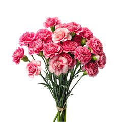 Obraz premium Design concept beautiful bunch of carnations