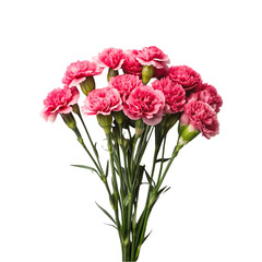 Design concept beautiful bunch of carnations