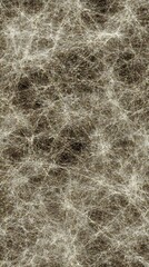 Fototapeta premium Subtle textural composition showcasing delicate interwoven fibrous patterns