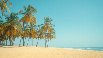Obraz premium Relaxing beach view with palm trees and clear blue skies near the ocean during daytime. Generative AI