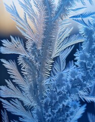 A macro of frost forming on glass, showing delicate, fractal-like ice patterns in cool white, creating a beautiful and intricate winter scene.