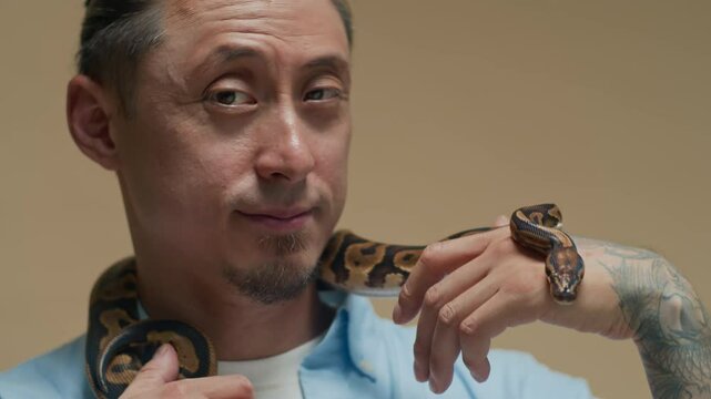 Close up portrait of cheerful multi-ethnic man posing for camera with python snake coiling his neck isolated on brown background indoors