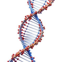Beautiful DNA double helix