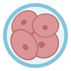 Zygote 3 - 4 cell stage colored icon