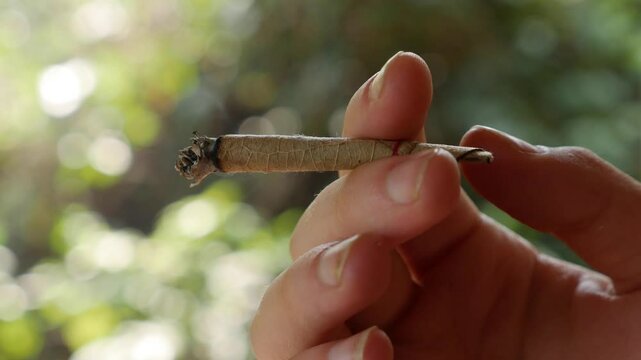 Close-up shot of a lit bidi or beedi in a woman's hand. The Harm of Smoking.