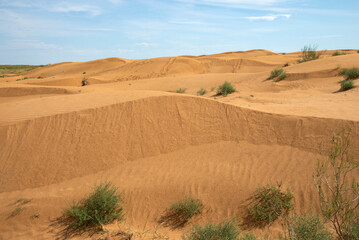 A sunny day in a semi-desert. Republic of Kalmykia, Russia