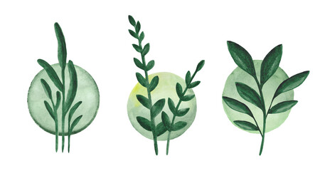 Set of watercolor plants on a background of green spots. Watercolor design element.