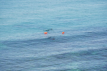 Men snorkeling over Remains of ancient port Arsuf, National Park Apollonia, Israel.