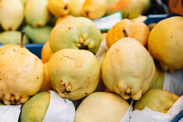 Fresh organic quinces with natural imperfections and rough textures at a farmers market. Ideal for food photography, healthy eating, organic produce, and autumn fruit visuals