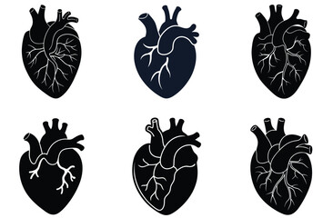 Six Black Silhouettes of Anatomical Hearts with Varying Structures