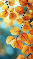 Obraz premium Autumn Leaves On Branches