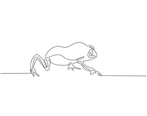 Continuous line drawing of frog. Single line illustration of frog animal. Amphibian animal, wildlife concept. Editable outline