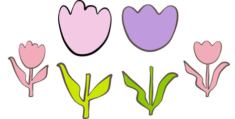 hand drawn tulips outline simple spring flower vector illustration simple cartoon line art hand drawn minimalistic flower on a white background set of tulip doodles