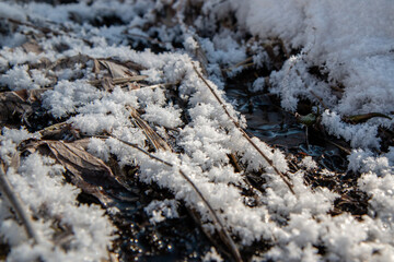 frozen water snow on the ground