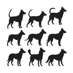 Belgian Malinois Dog Silhouette Vector Set white background
