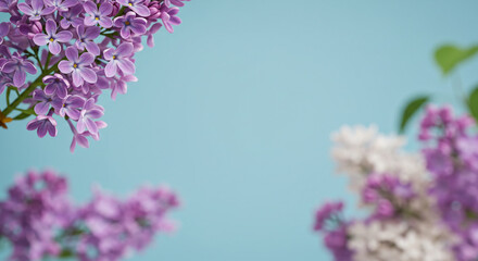 Obraz premium Fond lilas pour un design avec effet de profondeur et de volume, idées de design printanier 2025