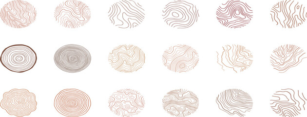 Tree ring wood circle set. Hand drawn tree ring pattern, line ripple circle wood texture. Wood organic slice line design.