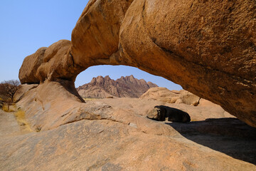 The Spitzkoppe Arch frames the famous 1,728m Spitzkoppe peak, offering a breathtaking view of Namibia's rugged landscape.