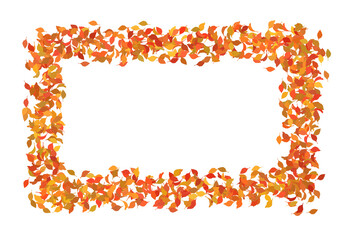 秋の葉っぱのフレーム　落ち葉　紅葉