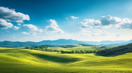 Obraz premium Rolling hills under bright blue sky with fluffy clouds in verdant countryside
