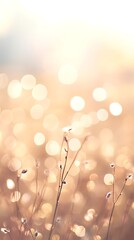 pale pastel bokeh background with soft blur effect