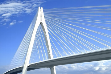 Naklejka premium Modern Cable-Stay Bridge Illustration