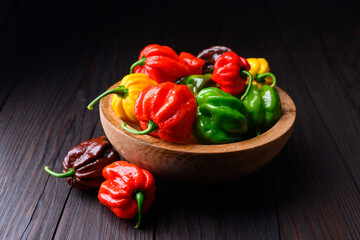 Wooden plate filled with multi-colored habanero peppers (capsicum chinense) on rustic wooden table. Very hot mexican peppers