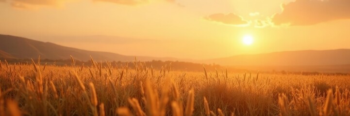 Fototapeta premium Warm beige and golden hues blend with gentle sunsets, beige, evening sky, serene