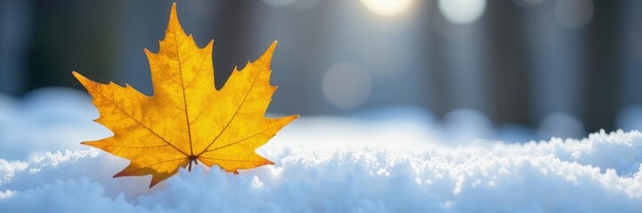 Fototapeta premium A delicate yellow birch leaf on a snowy surface, forest scenery, seasonal change, cold weather