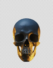 Skull, Detailed Human Skull Render with Shadows and Highlights on transparent background, png, psd
