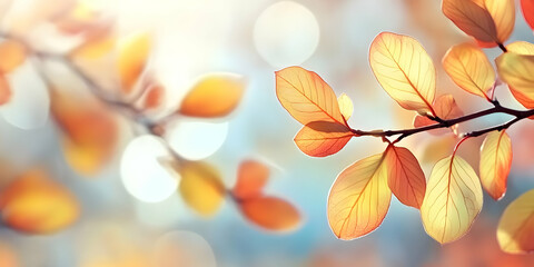 Autumn Leaves: An Orange and Yellow Backgroud