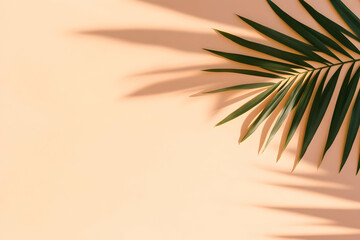 Peach Background with Palm Leaf Illustration