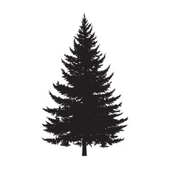 christmas tree isolated on white