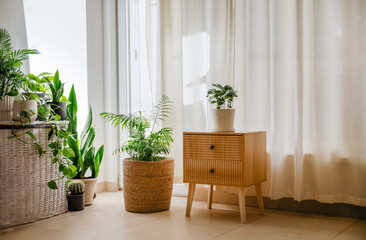 Cozy living room full of green plants  © boryanam