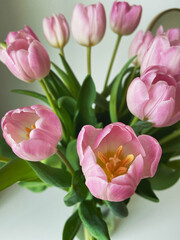 Close-up of pink tulips bouquet in a clear glass vase on the table.