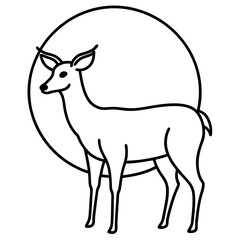 vector illustration of a deer