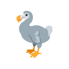 Dodo  © sgra