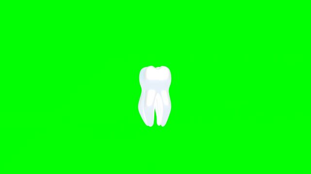 3D Animated Yellow Tooth Turning Into Healthy Tooth With White Enamel. Showing Dental Teeth Scaling Treatment Concept on Green Screen.