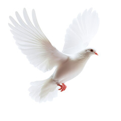 Fototapeta premium A transparent dove gracefully flying against an isolated transparent background, symbolizing peace and freedom in motion, transparent dove flying in the air,isolated transparent background