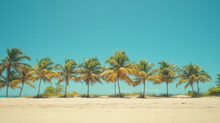 Fototapeta premium Lush palm trees lining a serene beach under a clear blue sky in a tropical paradise setting. Generative AI