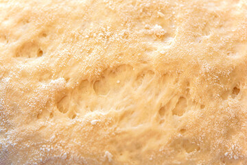Closeup fermented doughs, homemade. Freshly kneaded dough, closeup freshly fermented dough. Texture of rolled dough. Freshly kneaded dough in a basin, close-up freshly fermented dough