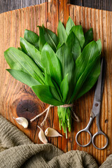 Wild garlic leaves on a wooden board with a metal scissors. Food styling close-up shot